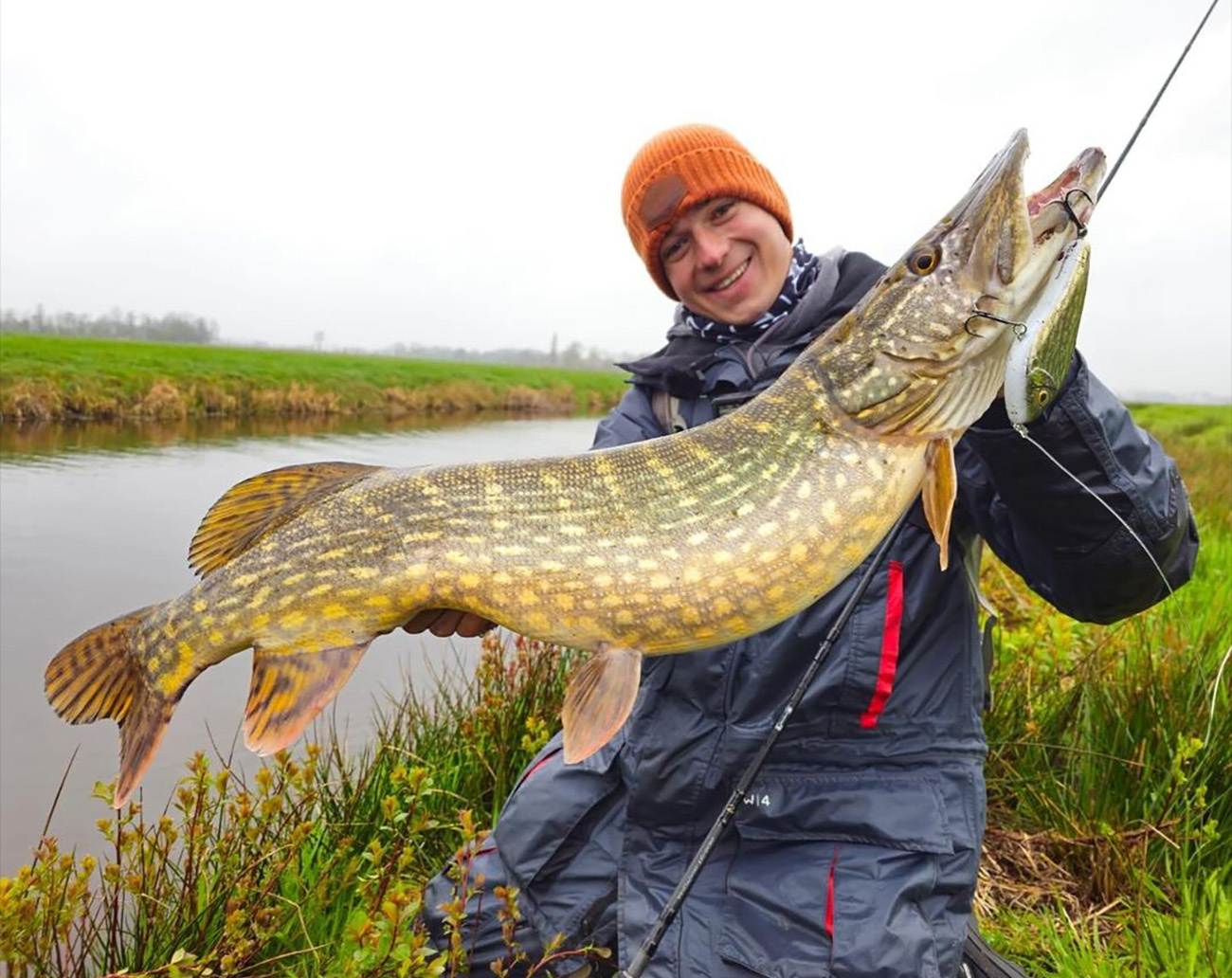 Westin Swim Silent 12cm 55g Suspending